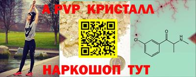 индика Будённовск