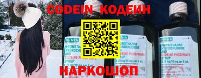 индика Будённовск
