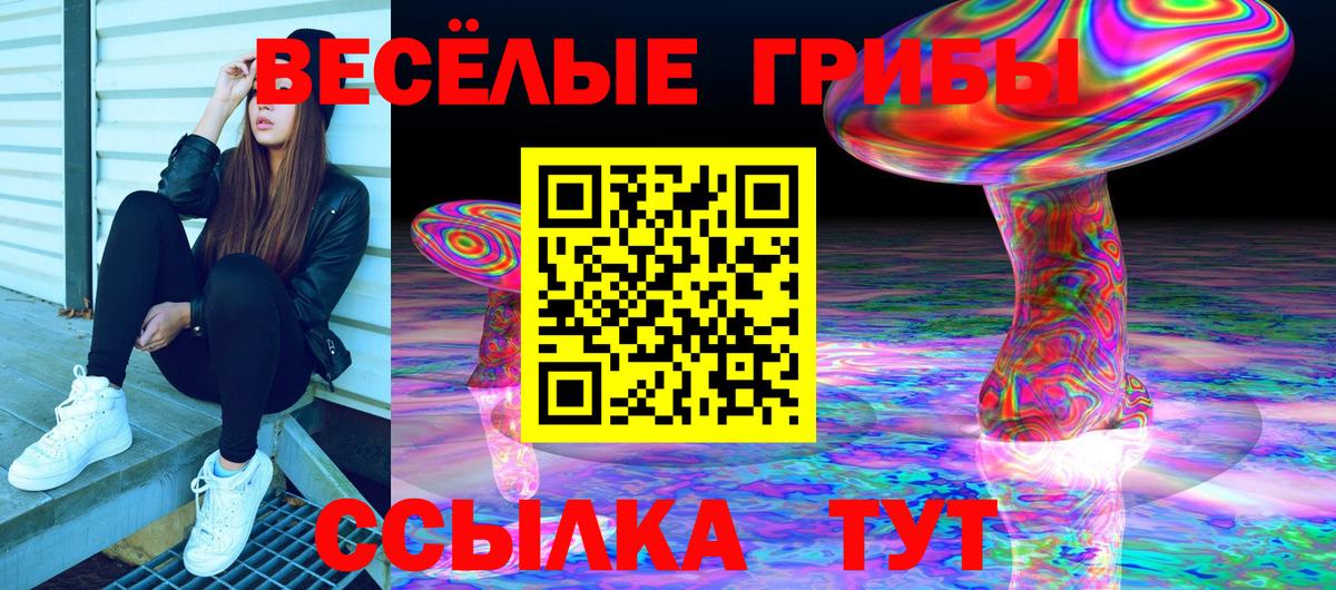 Псилоцибиновые грибы Cubensis  Вход с VPN  Курганинск 