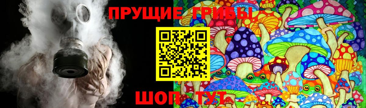 Галлюциногенные грибы ЛСД Курганинск
